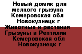 Новый домик для мелкого грызуна - Кемеровская обл., Новокузнецк г. Животные и растения » Грызуны и Рептилии   . Кемеровская обл.,Новокузнецк г.